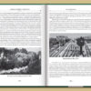 “Киевские хроники. Книга II. Юбилеи’2012” Виталий Ковалинский 56194
