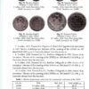 “Platinum coins” Andriy Boyko-Gagarin, Iryna Korpusova 58030